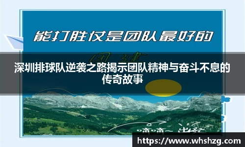 深圳排球队逆袭之路揭示团队精神与奋斗不息的传奇故事