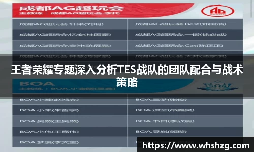 王者荣耀专题深入分析TES战队的团队配合与战术策略