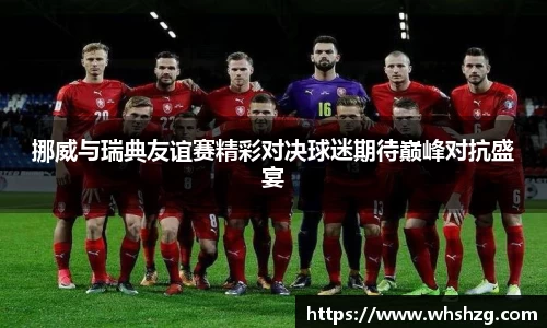 挪威与瑞典友谊赛精彩对决球迷期待巅峰对抗盛宴