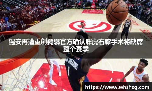 锡安再遭重创鹈鹕官方确认胖虎右膝手术将缺席整个赛季