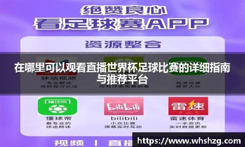 在哪里可以观看直播世界杯足球比赛的详细指南与推荐平台